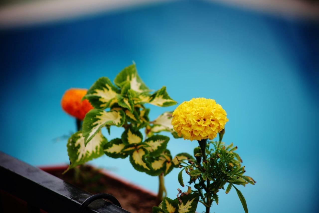 Can Otel Bodrum Exterior foto
